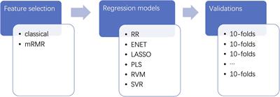 A Unified Framework for Inattention Estimation From Resting State Phase Synchrony Using Machine Learning